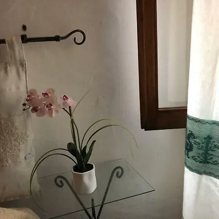 Gechi Valledoria (Sardinia)